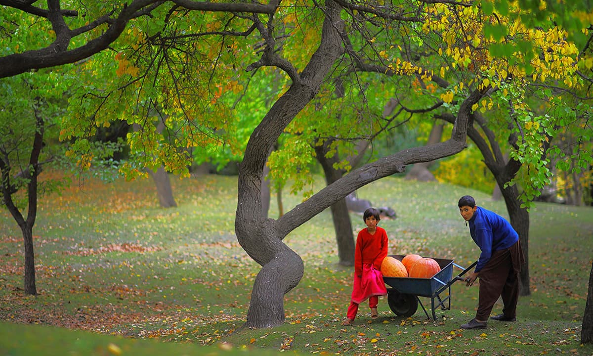 Exploring the Enchanting Hunza Valley